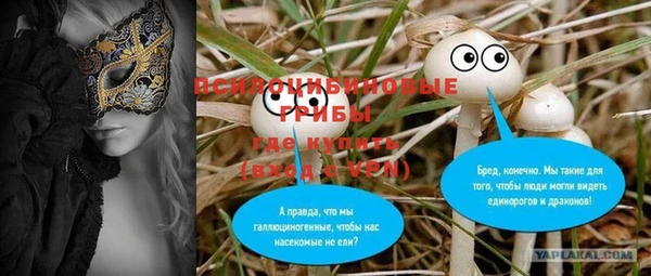 амф Алексин