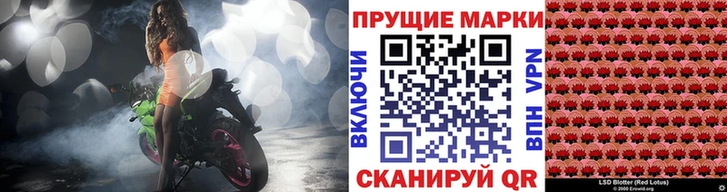 блэк спрут   Лесной  нарко площадка как зайти  Марки 25I-NBOMe 1,5мг 