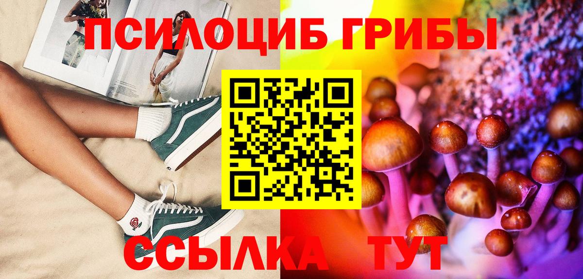 Псилоцибиновые грибы Psilocybine cubensis Лесной