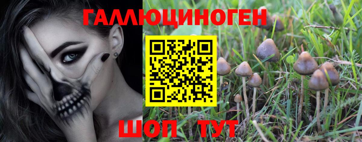 Псилоцибиновые грибы мухоморы  наркотики  Лесной  Вход с VPN 